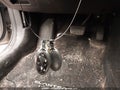 Photo 11 of 19 — 2024 Hyundai Elantra
