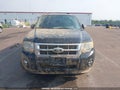 Photo 12 of 20 — 2010 Ford Escape