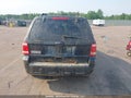Photo 16 of 20 — 2010 Ford Escape