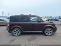 Photo 13 of 19 — 2008 Honda Element