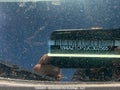 Photo 12 of 12 — 2018 Nissan Leaf