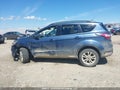 Photo 14 of 19 — 2018 Ford Escape
