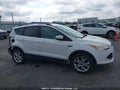 Photo 13 of 19 — 2013 Ford Escape