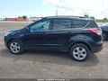 Photo 14 of 18 — 2014 Ford Escape