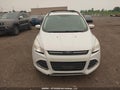 Photo 12 of 18 — 2014 Ford Escape