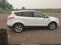Photo 13 of 18 — 2014 Ford Escape