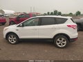 Photo 14 of 18 — 2014 Ford Escape