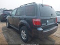 Photo 14 of 18 — 2009 Ford Escape