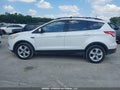 Photo 14 of 16 — 2014 Ford Escape