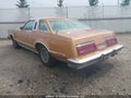 Photo 3 of 18 — 1979 Ford Thunderbird