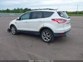 Photo 3 of 21 — 2013 Ford Escape
