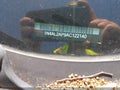 2010 Nissan Altima — photo 18 of 18 | VIN 1N4AL2AP9AC122140