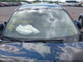 2025 Nissan Kicks — photo 16 of 18 | VIN 3N8AP6BA7SL329961