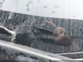 2021 Nissan Versa — photo 16 of 17 | VIN 3N1CN8EV0ML829065