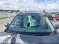 2018 Nissan Rogue — photo 18 of 19 | VIN 5N1AT2MV5JC703649