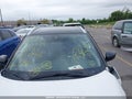 2021 Nissan Kicks — photo 17 of 21 | VIN 3N1CP5CV5ML537746