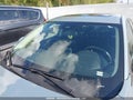 2025 Nissan Sentra — photo 18 of 19 | VIN 3N1AB8CV1SY203804