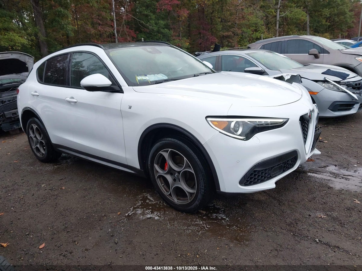 2022 Alfa Romeo Stelvio ZASPAKBN3N7D47229 Lot 43413838
