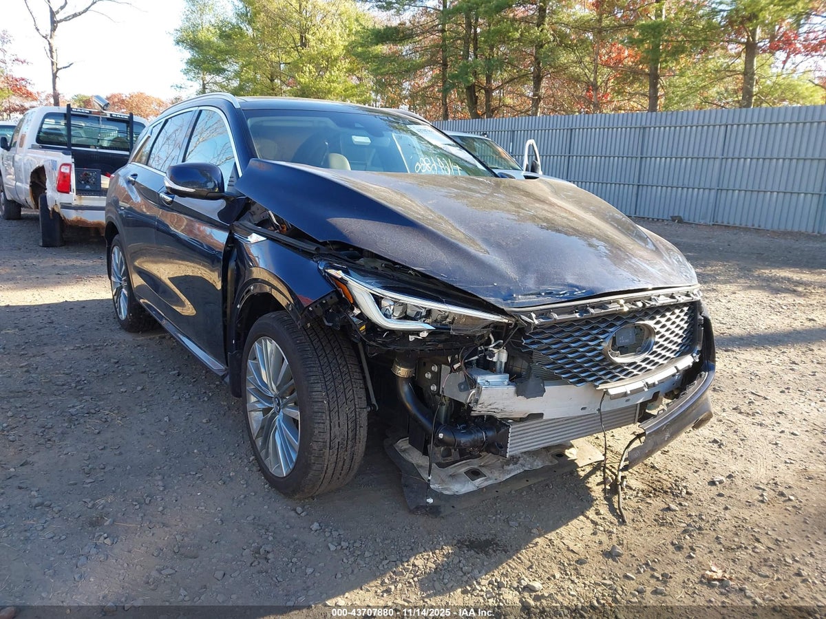 2024 Infiniti QX50 3PCAJ5EB7RF110339 Lot 43707880