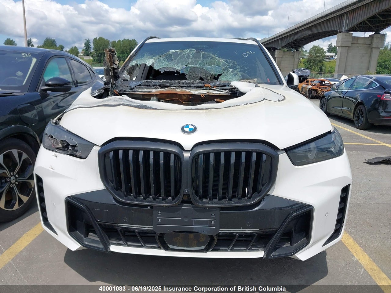 2024 BMW X5 thumbnail 12