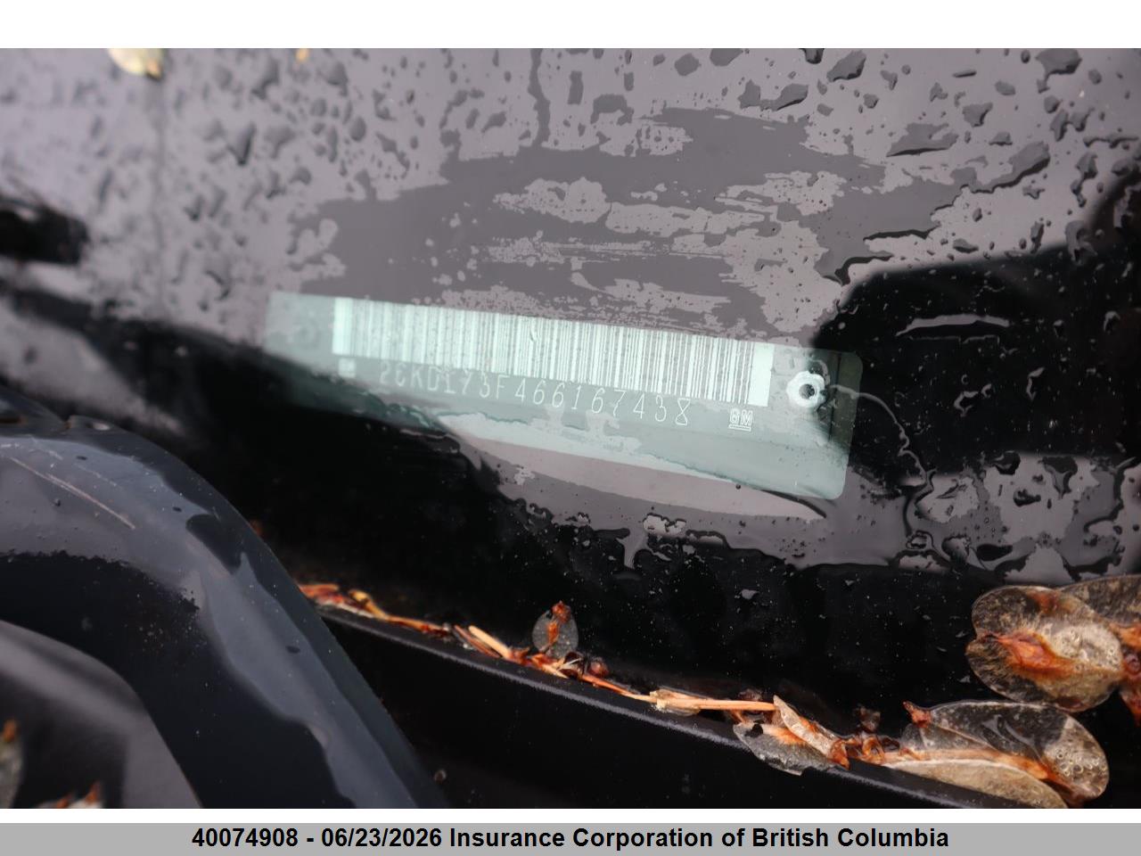 2CKDL73F466167438 · 2006 PONTIAC TORRENT · 5/12