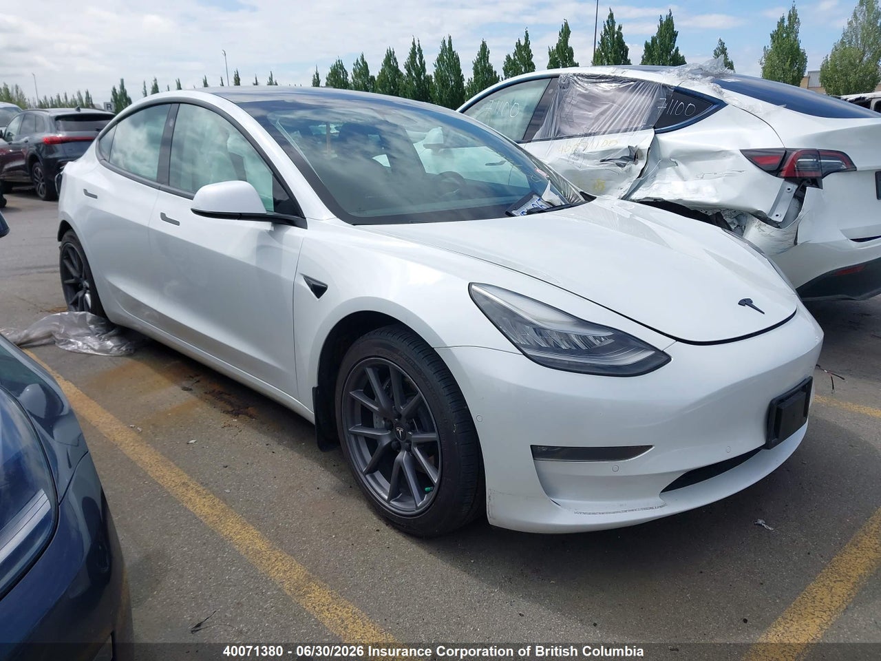 2021 TESLA MODEL 3 thumbnail 2