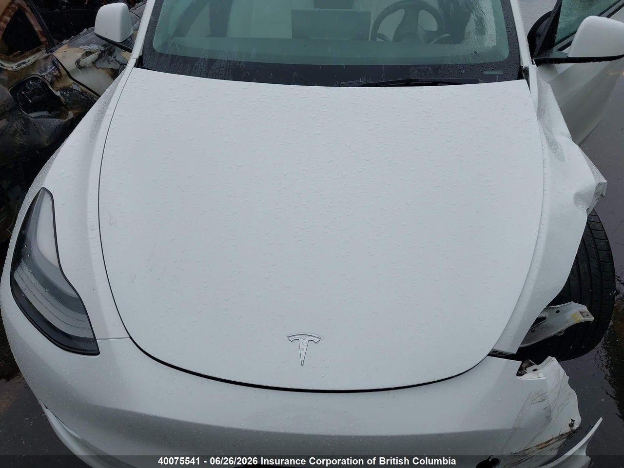 2022 TESLA MODEL Y thumbnail 11