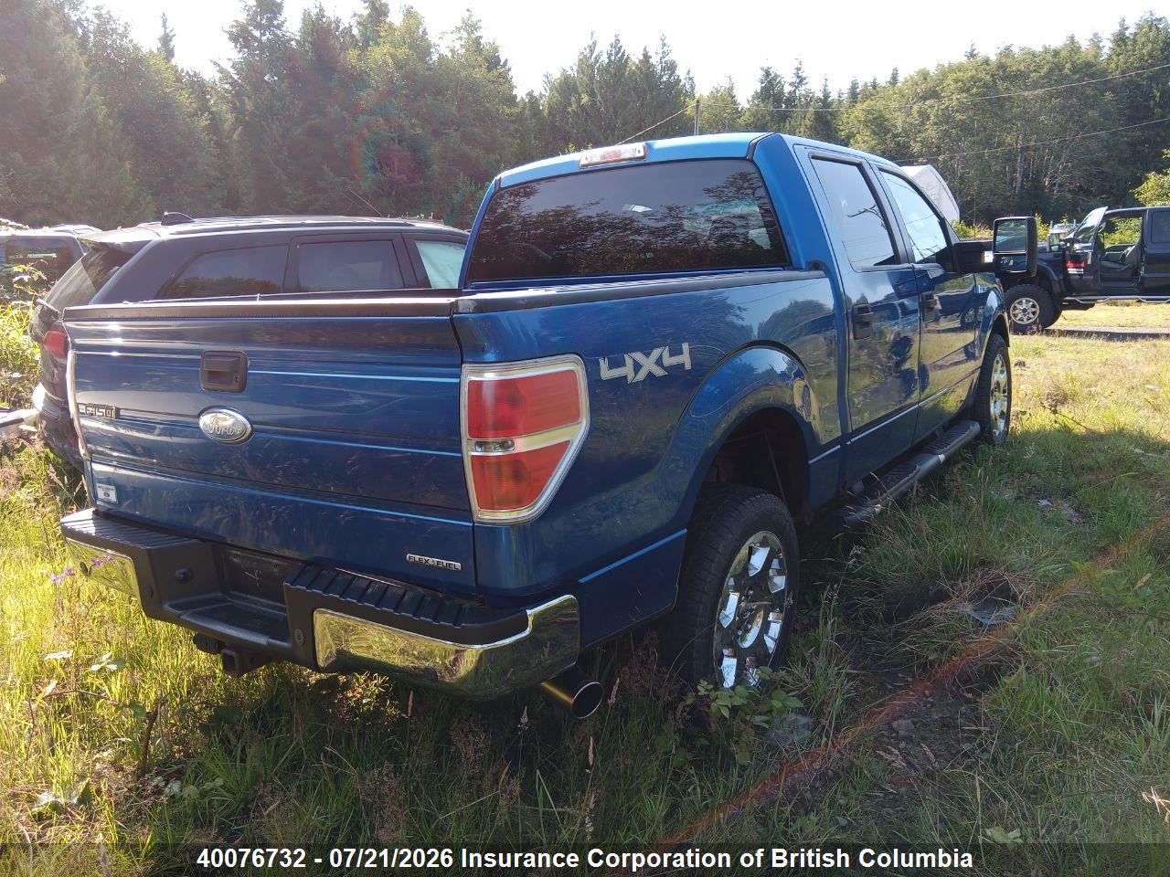 2011 FORD F150 thumbnail 5