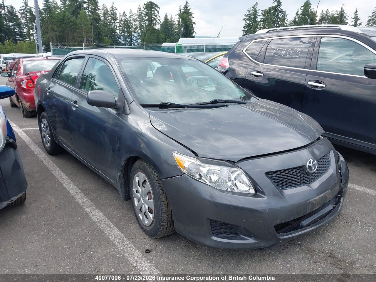 2009 TOYOTA COROLLA S/LE/XLE thumbnail 2