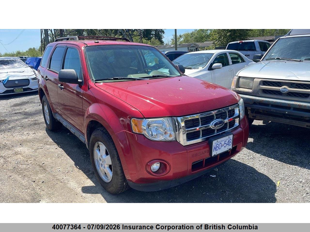 2009 FORD ESCAPE XLT thumbnail 2