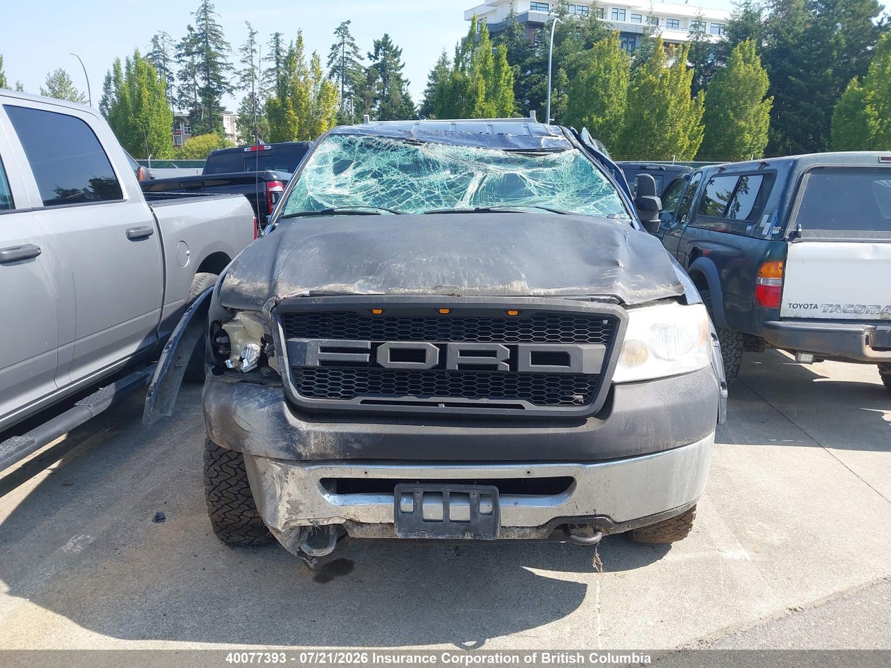 2007 FORD F150 thumbnail 12