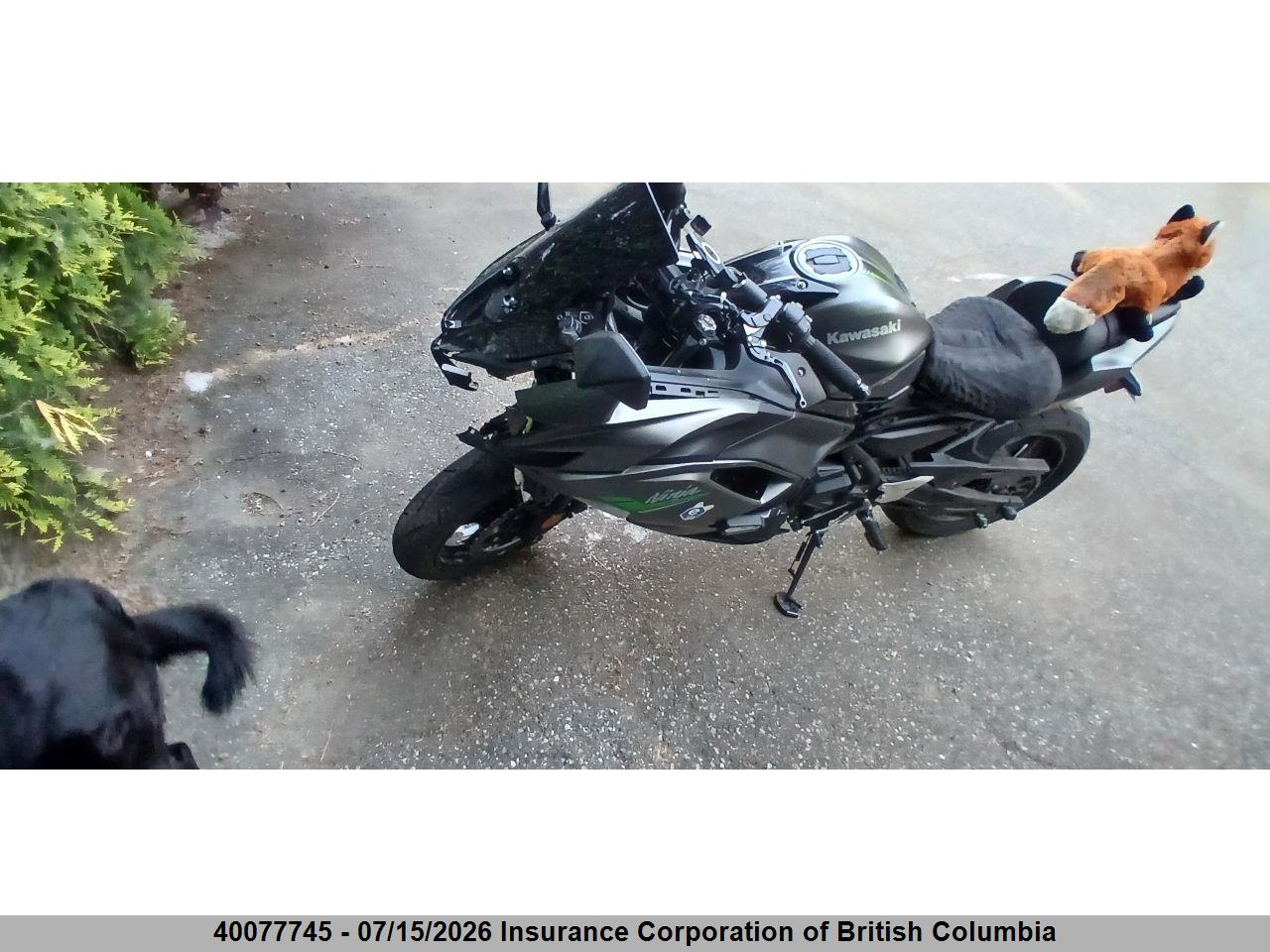 2023 KAWASAKI EX650 P thumbnail 3