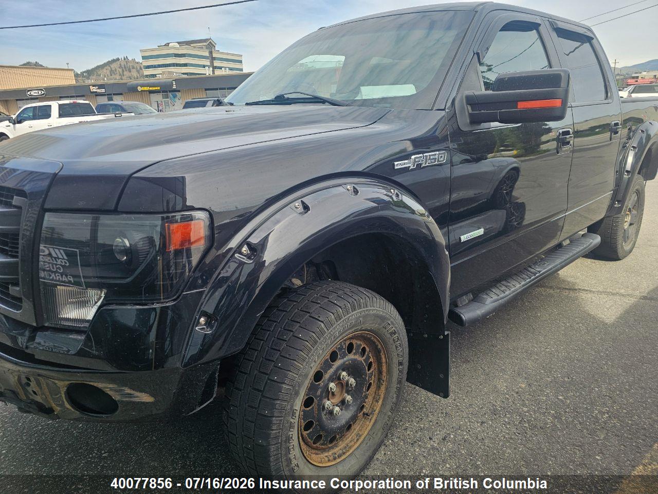 2014 FORD F150 thumbnail 3