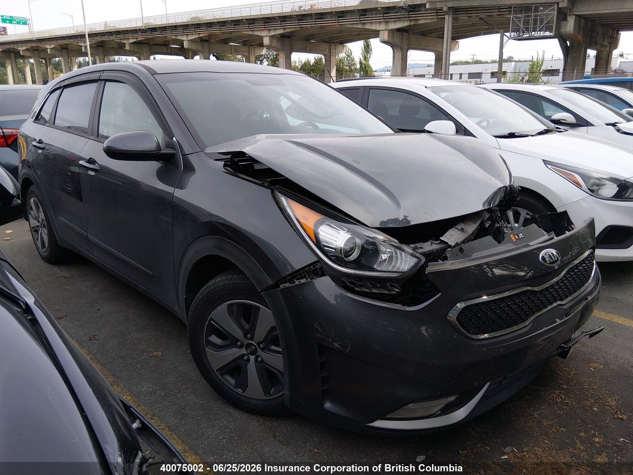 2019 KIA NIRO FE/LX thumbnail 2