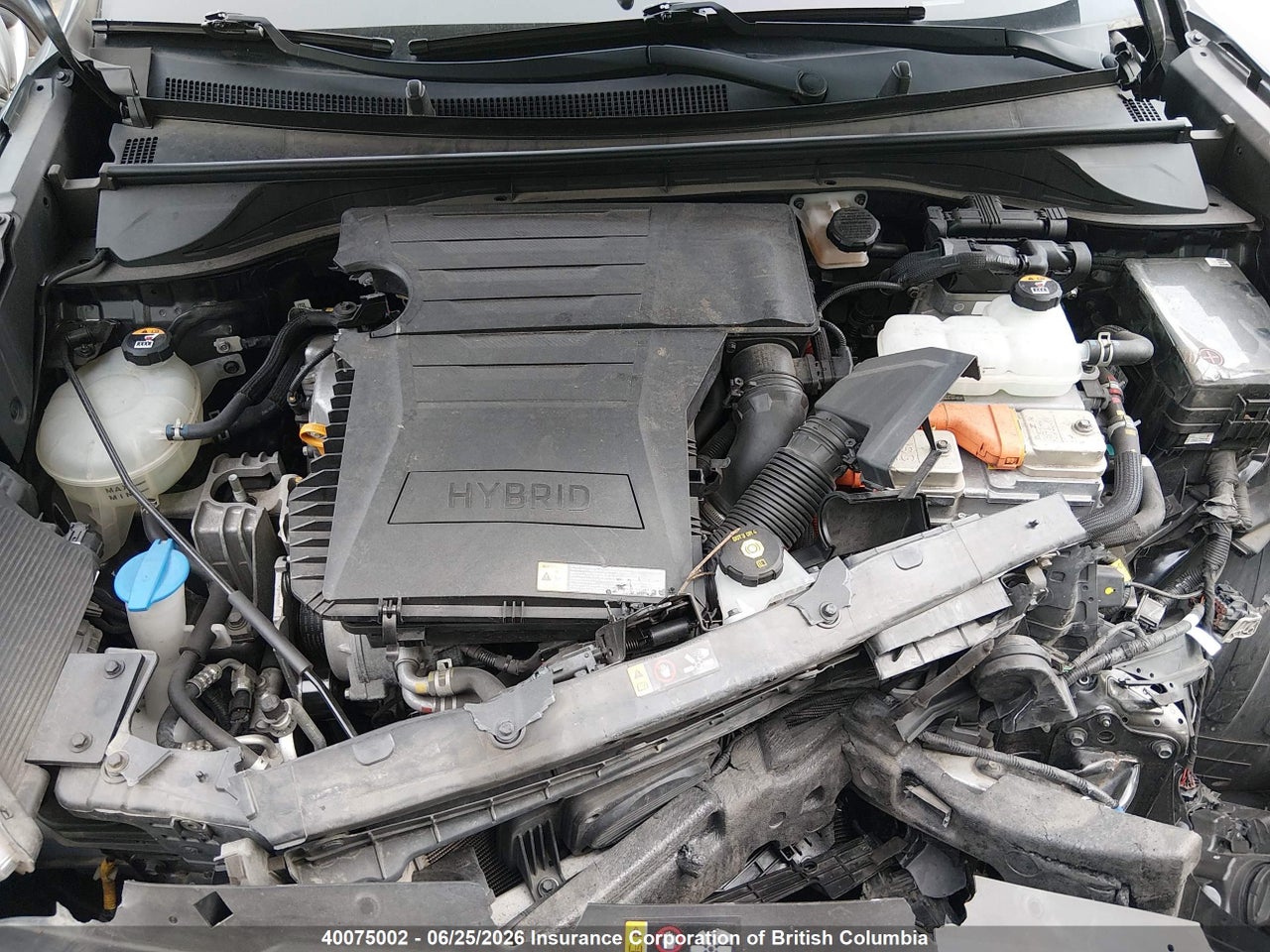 2019 KIA NIRO FE/LX thumbnail 11