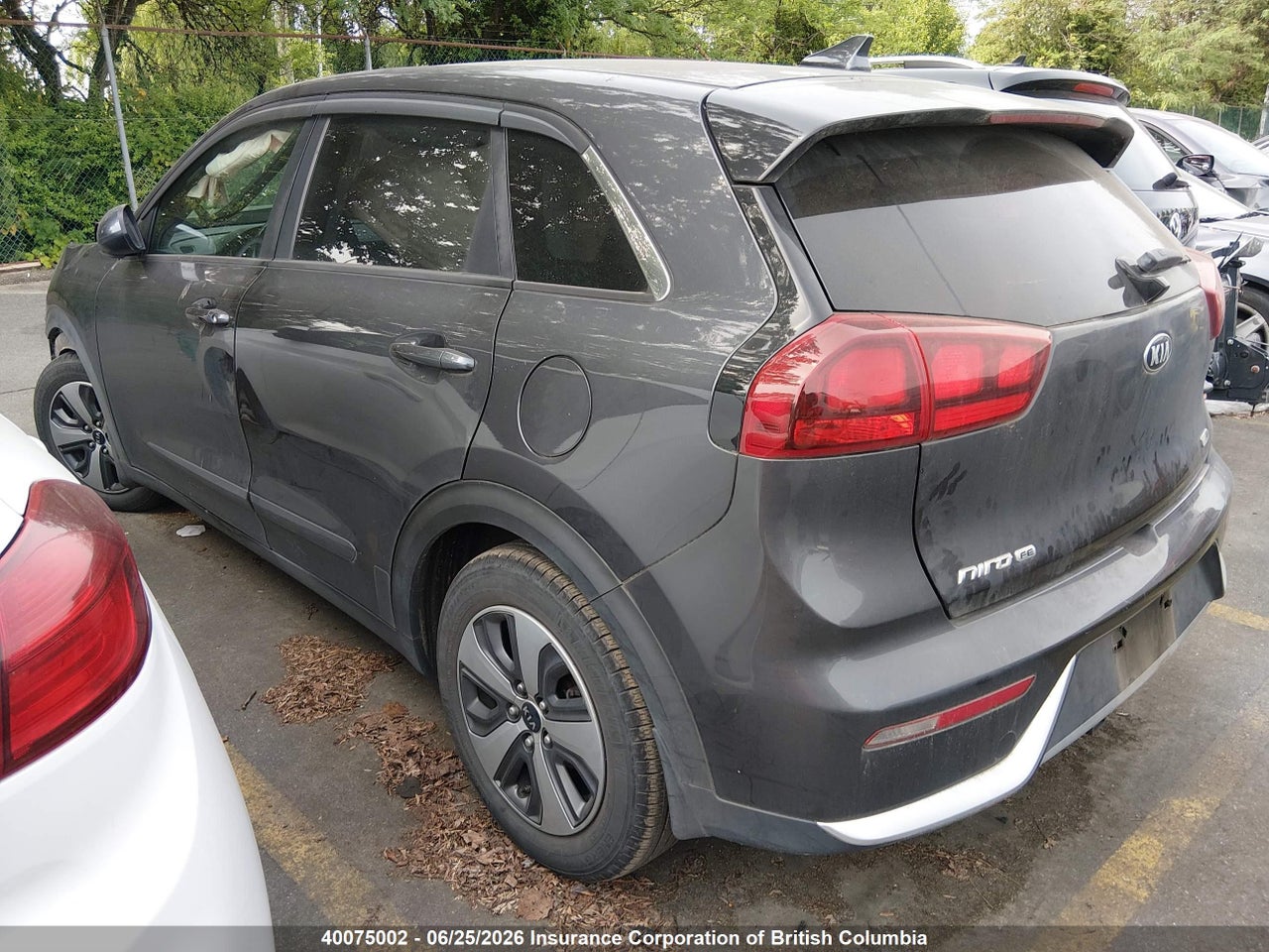 2019 KIA NIRO FE/LX thumbnail 4