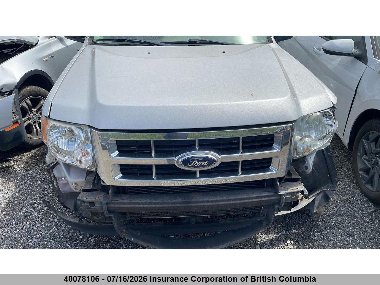 2009 FORD ESCAPE XLT thumbnail 6