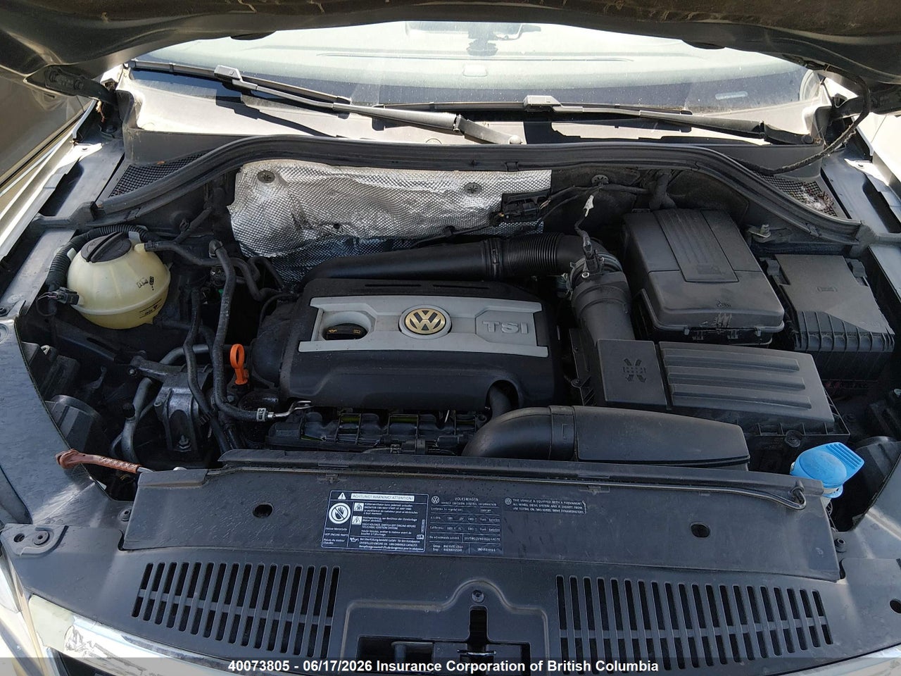 2009 VOLKSWAGEN TIGUAN SE/SEL thumbnail 11