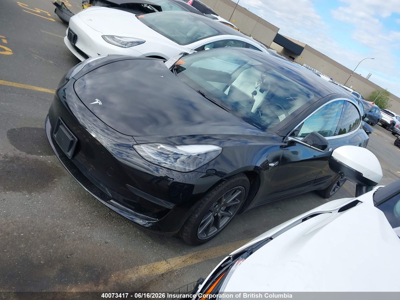 2019 TESLA MODEL 3 thumbnail 3