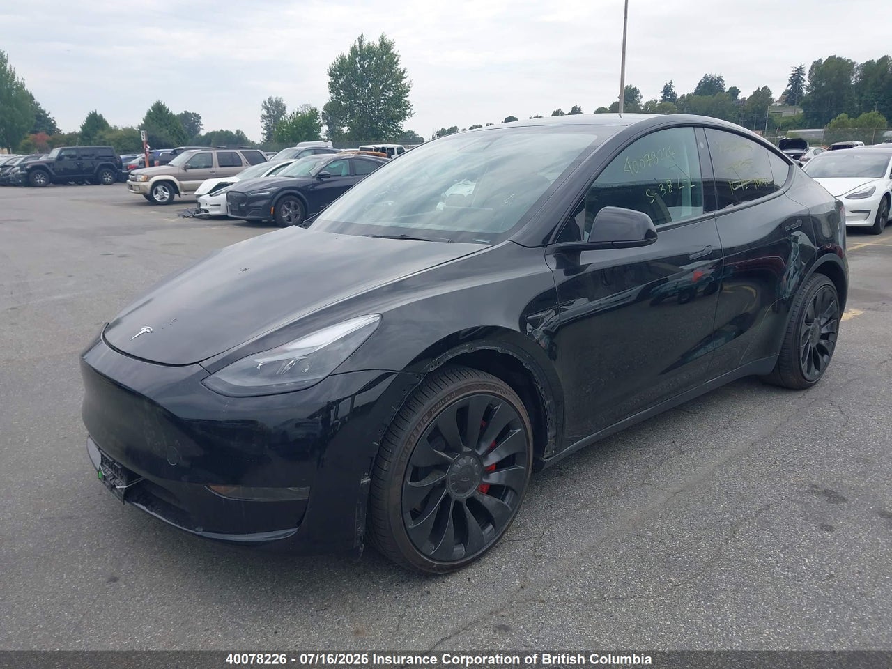 2023 TESLA MODEL Y RWD thumbnail 3