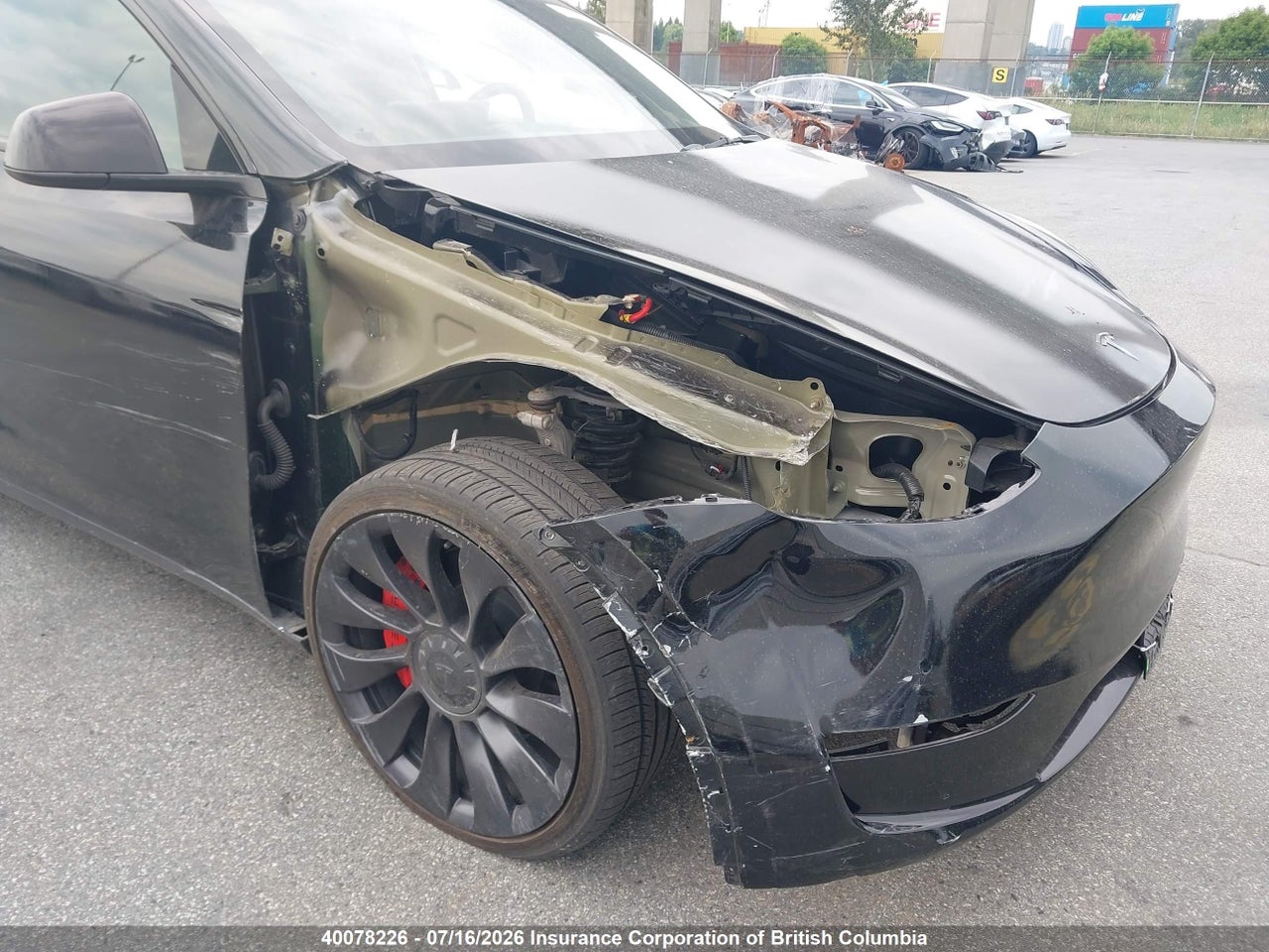 2023 TESLA MODEL Y RWD thumbnail 7