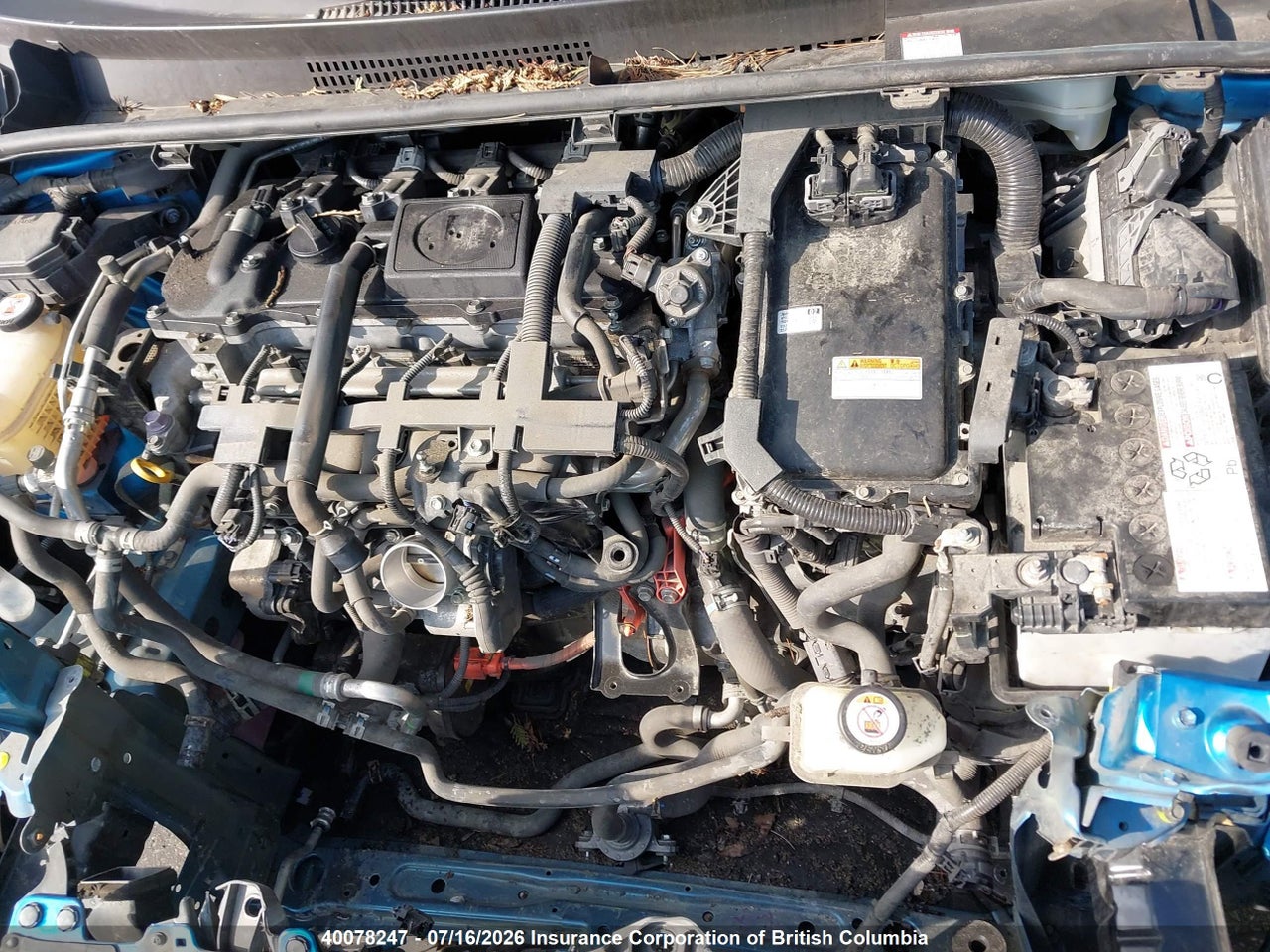 2019 TOYOTA PRIUS thumbnail 11