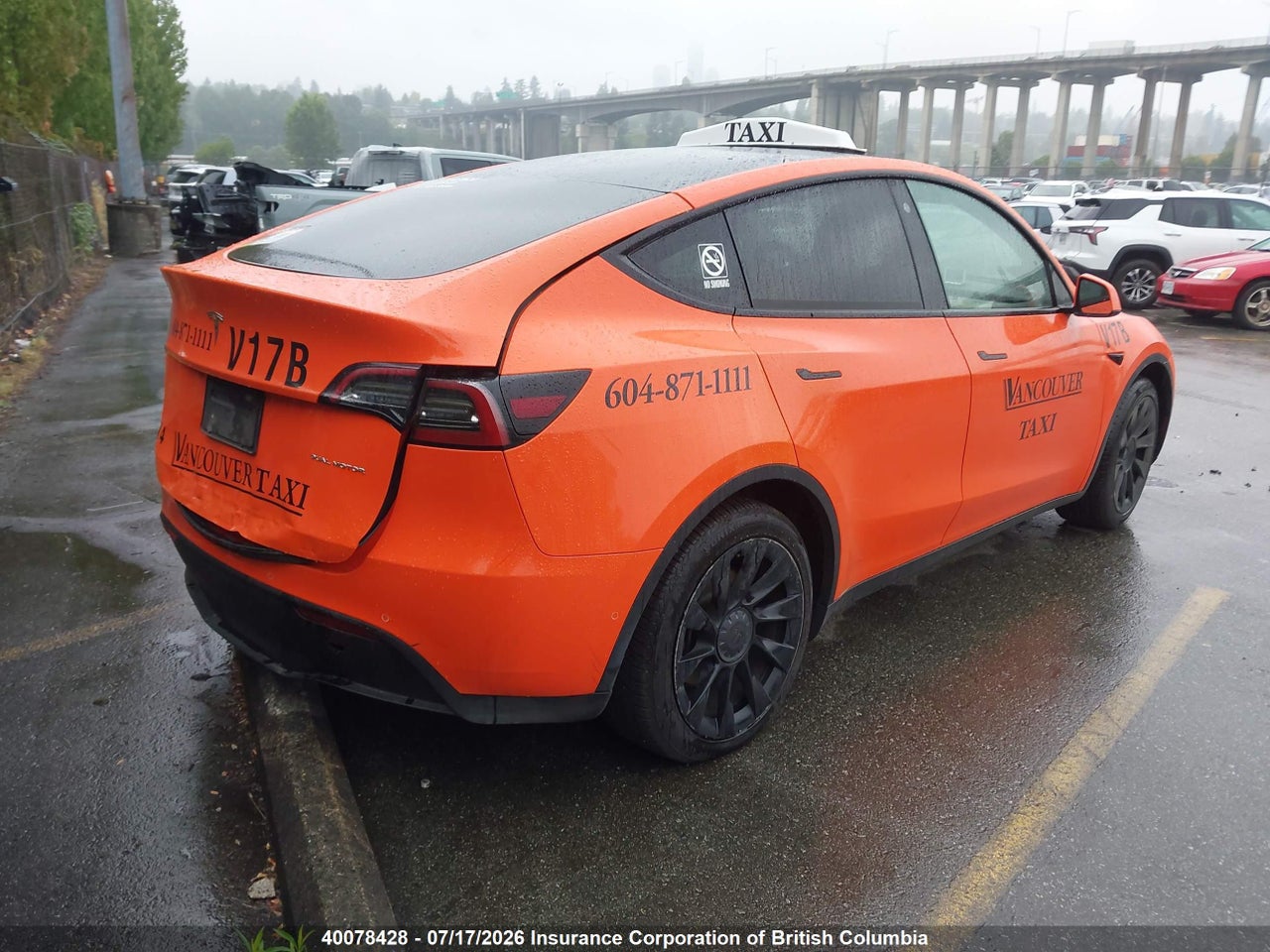 2022 TESLA MODEL Y thumbnail 5