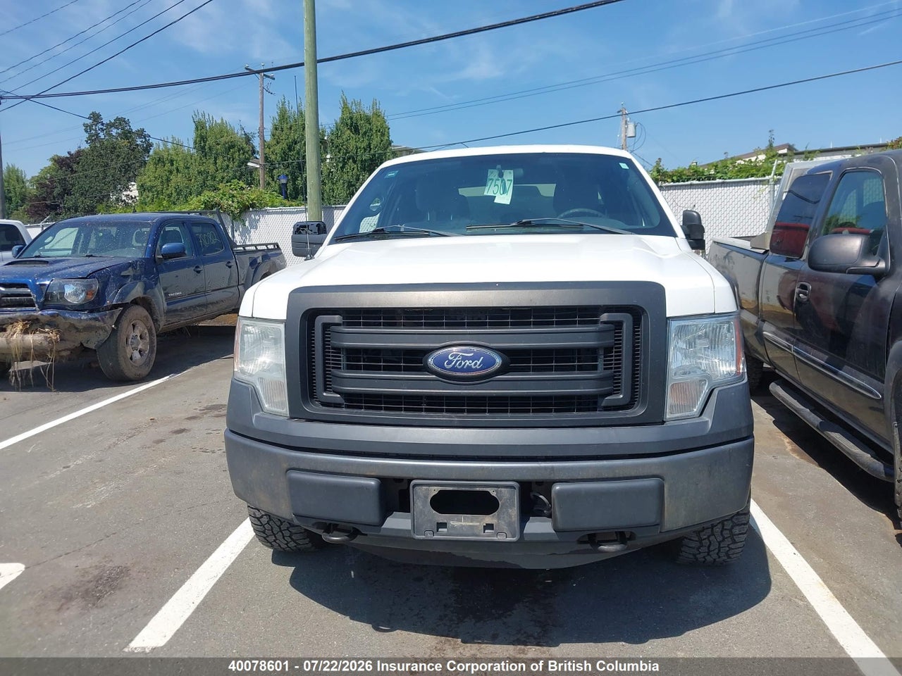 2013 FORD F150 thumbnail 12