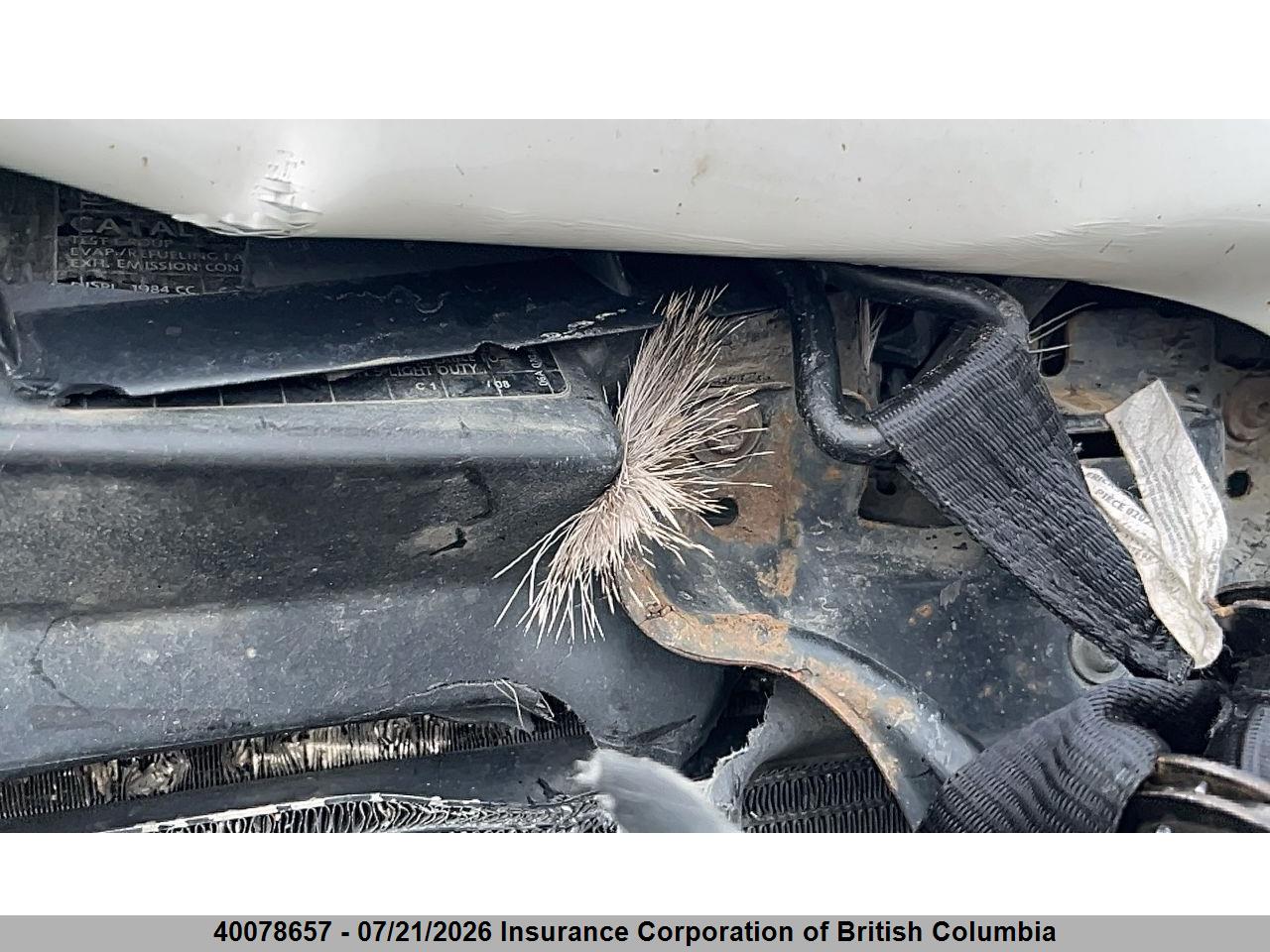 2009 VOLKSWAGEN JETTA thumbnail 12