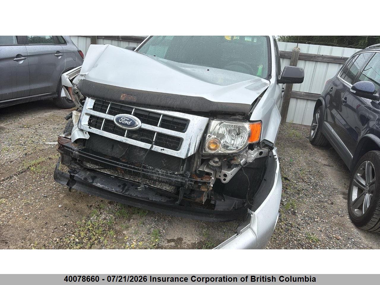 2009 FORD ESCAPE XLT thumbnail 6
