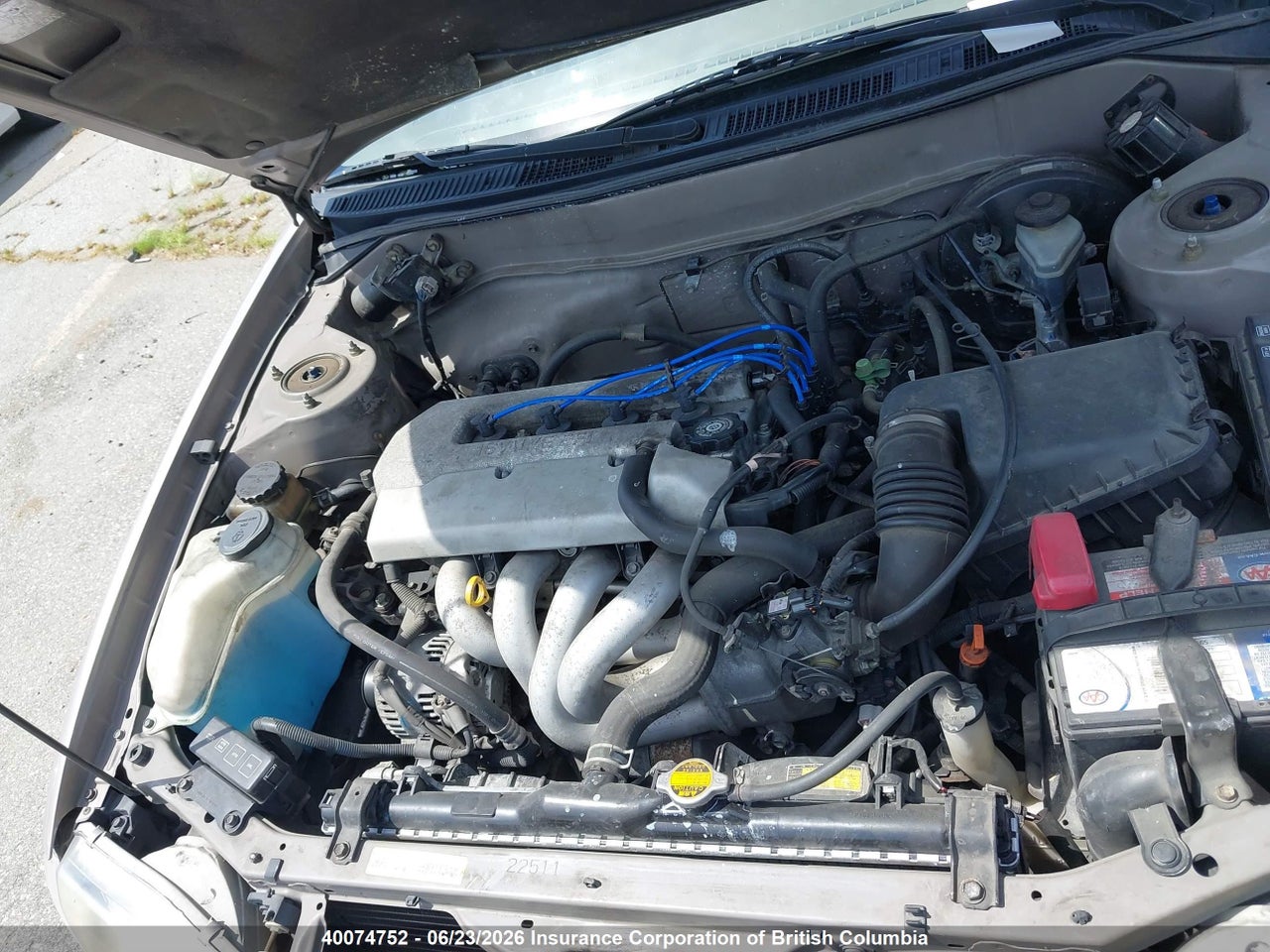 1999 TOYOTA COROLLA VE/CE/LE thumbnail 11
