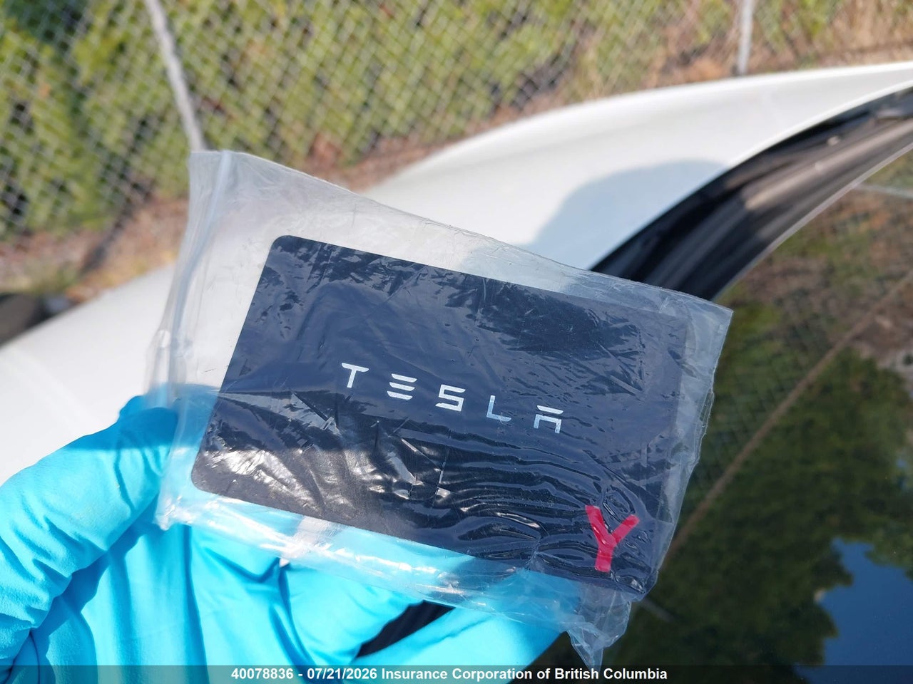 2022 TESLA MODEL Y thumbnail 12