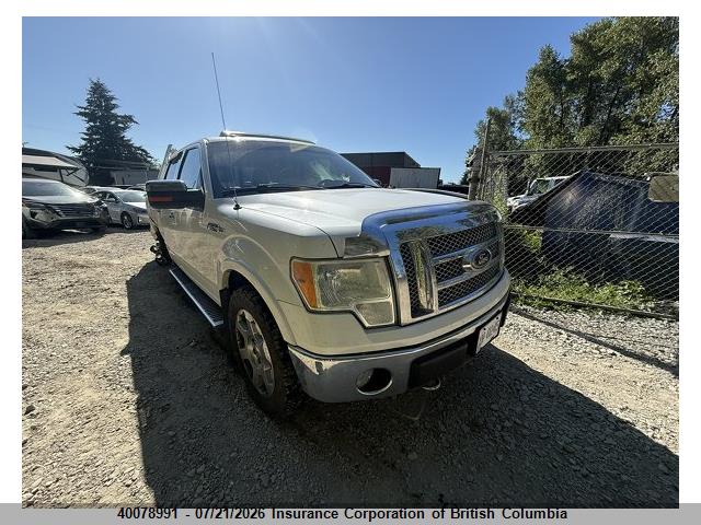 2010 FORD F150 thumbnail 2