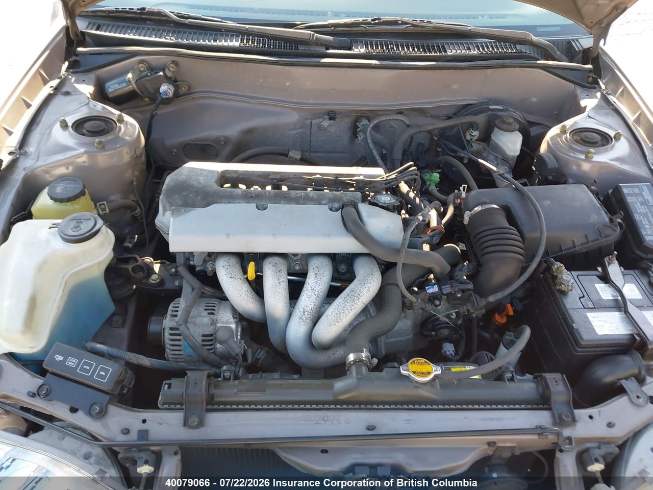 1999 TOYOTA COROLLA VE/CE/LE thumbnail 11
